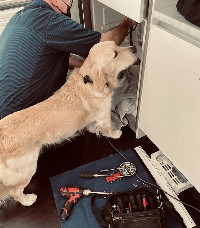 Handyman services Redmond WA - Local home repair near me Seattle